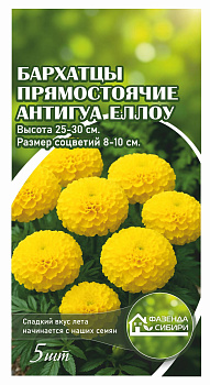 Бархатцы Антигуа Еллоу (5шт) Фазенда Сибири/10