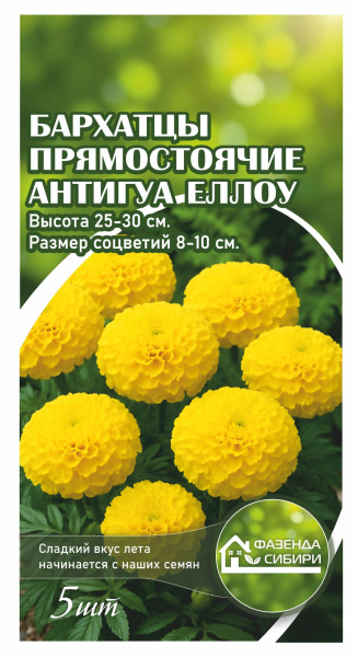 Бархатцы прямостоячие Antigua  Yellow
