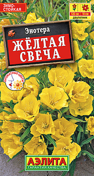 Энотера Желтая Свеча (0,2г) Аэлита/10