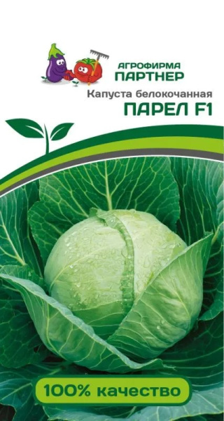 Капуста парел