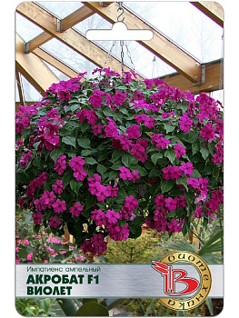 Бальзамин/импатиенс ампельный Акробат F1 Виолет (8шт) Биотехника/10