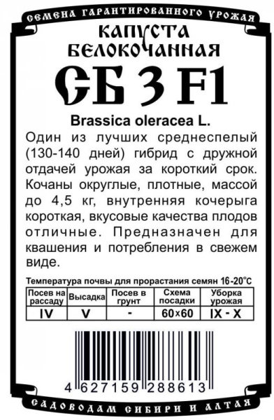 kapusta_sb-3