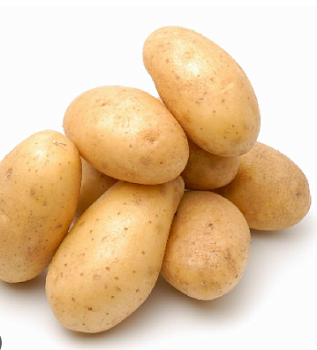 Картофель семенной "Бернина" (среднеспелый столовый желтый сорт) 2 кг (+/- 5%), цена за 2 кг.