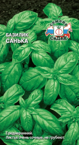 bazilik_sanka