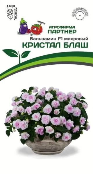 Бальзамин кристал блаш