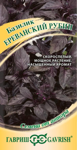Базилик Ереванский Рубин