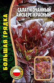 Салат Айсберг Красный (1000шт) Редкие Овощи/10