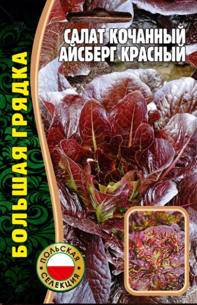 Айсберг