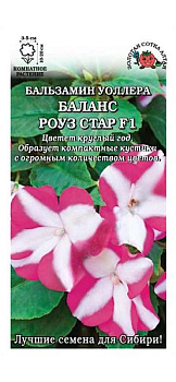 Бальзамин Баланс Роуз Стар F1 (5шт) Золотая Сотка/10