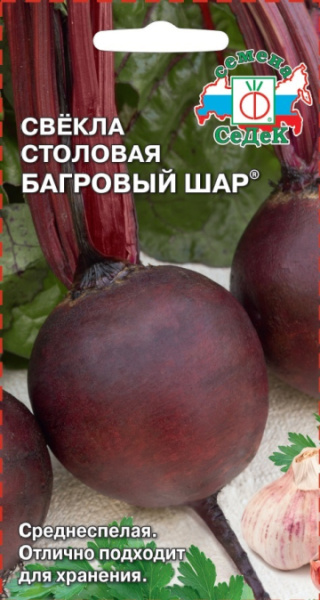 svekla_bagrovyy_shar