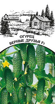 Огурец Верные друзья F1 (10шт) Фазенда Сибири/10