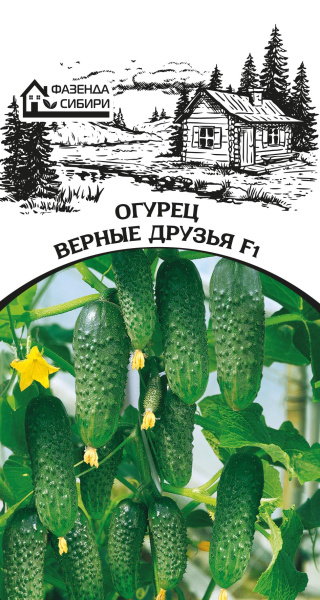 ogurec-vernie-druzyia-faz-69-04-ru