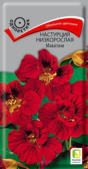 Настурция Махагони, низкорос. (1г) Поиск/10