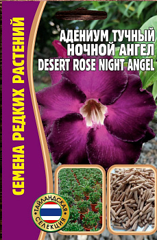 Адениум Ночной Ангел тучный (3шт) Редкие овощи/10