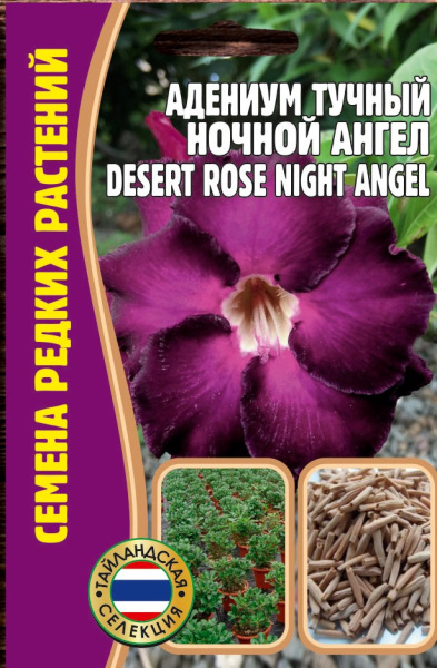 Адениум ночной ангел