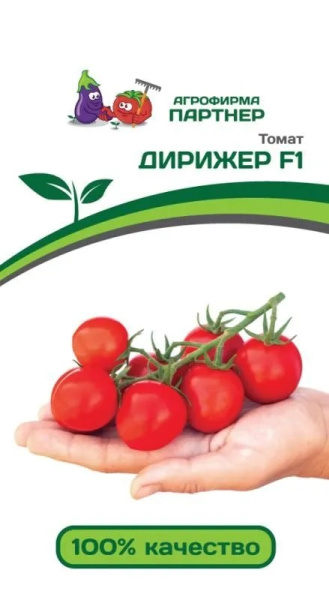 Томат Дирижер