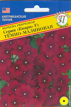Вербена Кварц Тёмно-малиновая (10шт) Престиж/10