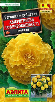 Бегония Америгибрид желтая F1 гофрированная (5шт) Аэлита/10