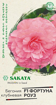 Бегония Фортуна Роуз F1 (4шт) Гавриш/10