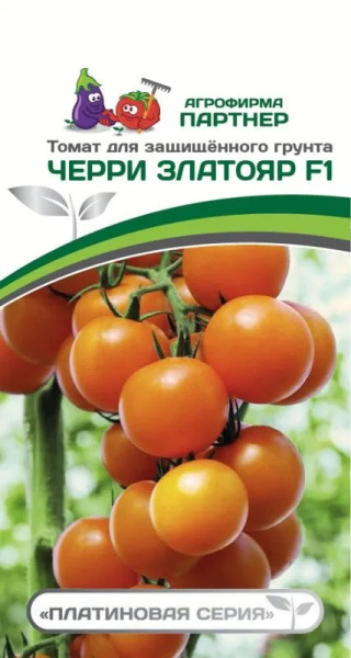 Томат черри златояр