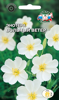 Энотера Вольный Ветер (0,1г) СеДеК/10