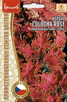 Колеус Colocha Rose (5шт) Редкие овощи/10