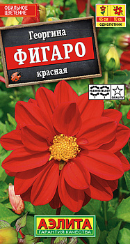 Георгина Фигаро Красная махровая (7шт) Аэлита/10