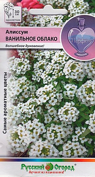Алиссум Ванильное облако (0,1г) НК/10