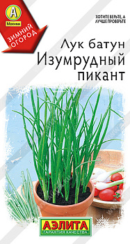Лук батун Изумрудный пикант (0,2г) Аэлита/10