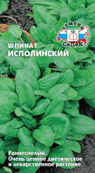 shpinat_ispolinskiy