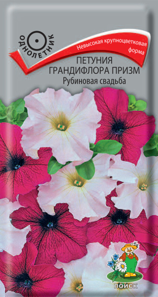 Петуния грандифлора призм Рубиновая свадьба