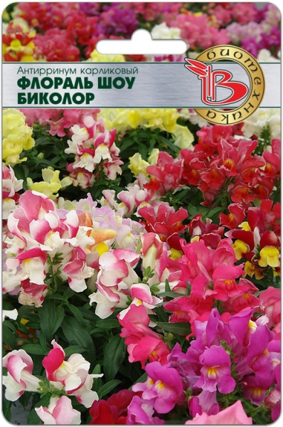 Львин зев флораль шоу биколор