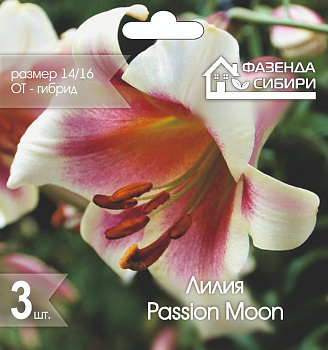  Лилия ОТ-гибрид Пэшн Мун/Passion Moon 14/16 (3шт) А-33  Фазенда Сибири