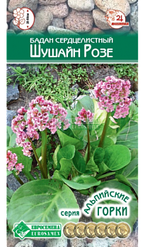 Бадан Шушайн Розе (5шт) Евросемена/10