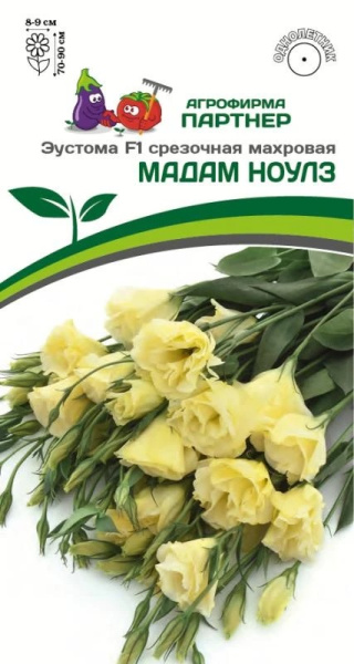 Эустома Мадам Ноулз