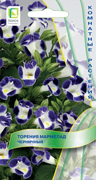 Торения Мармелад Черничный (5шт) Поиск/10