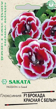 Глоксиния Брокада F1 красная с белым (4шт) Гавриш/10