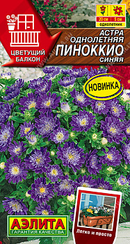 Астра Пиноккио синяя, карликовая (0,05г) Аэлита/10