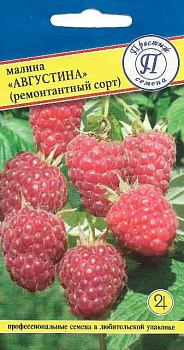 Малина Августина, ремон. (10шт) Престиж/10