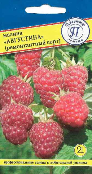 Малина августина