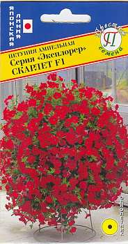 Петуния Эксплорер Скарлет F1, ампел. (5др) Престиж/10