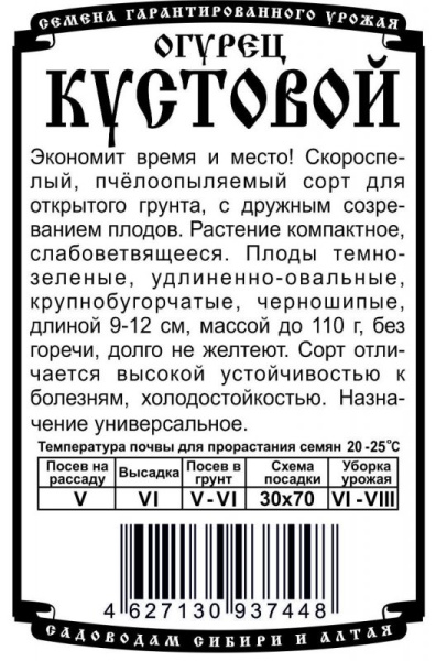 ogurets_kustovoy