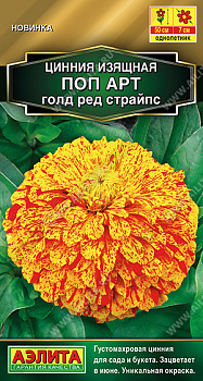 Цинния Поп арт голд ред страйпс (0,1г) Аэлита/10