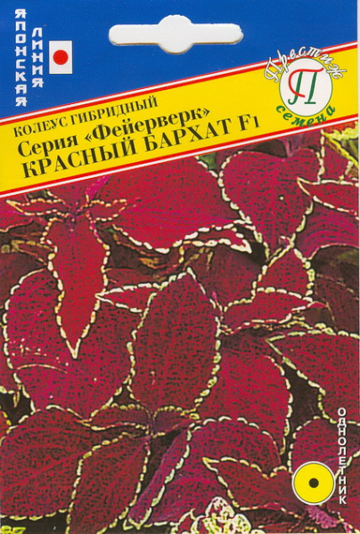 Красный бархат