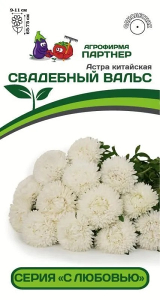 астра савдебный вальс
