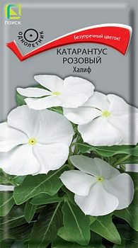 Катарантус Халиф (0,1г) Поиск/10