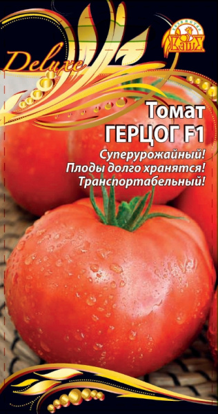 Герцог