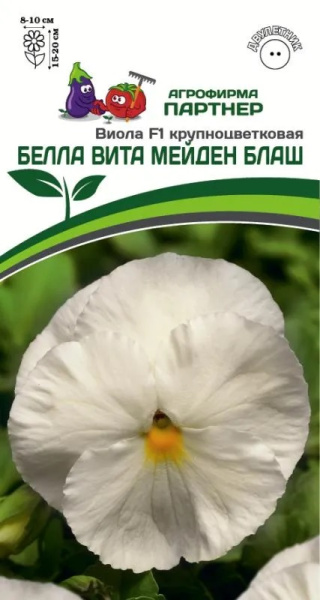 Виола мейден блаш