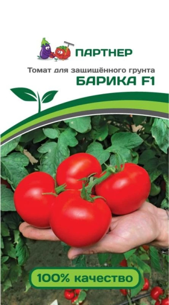 Томат барика