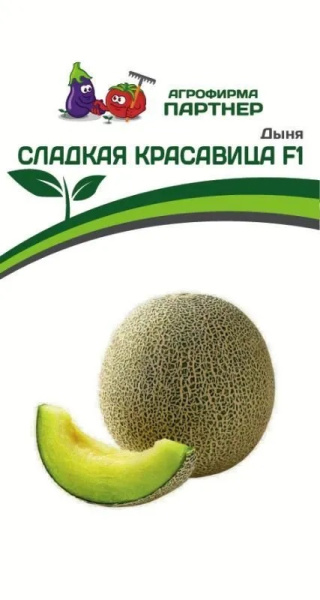 Дыня красавица